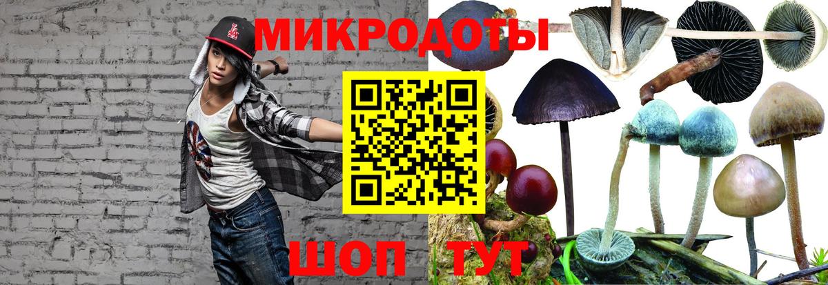 Галлюциногенные грибы Cubensis Коряжма