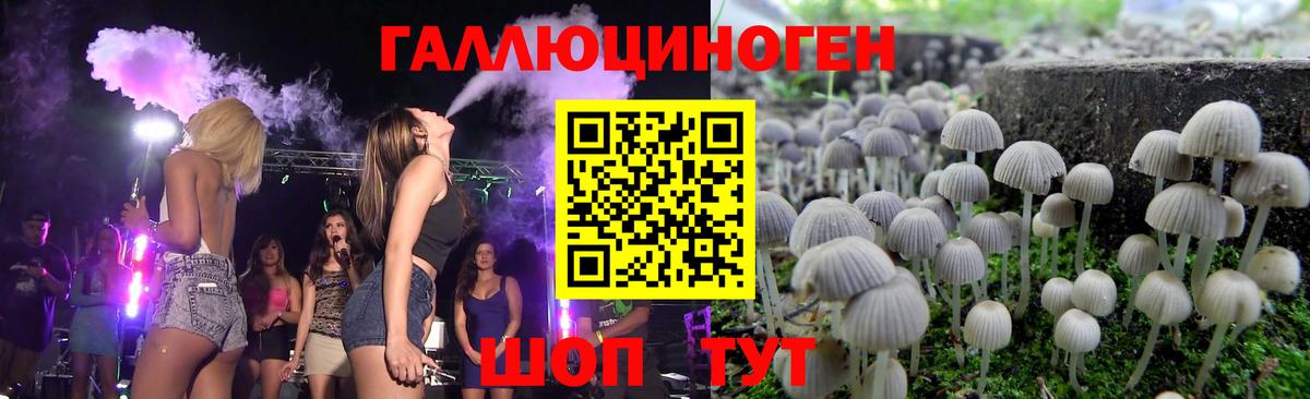 Коряжма  Псилоцибиновые грибы Cubensis  Вход с VPN  Псилоцибиновые грибы ЛСД 